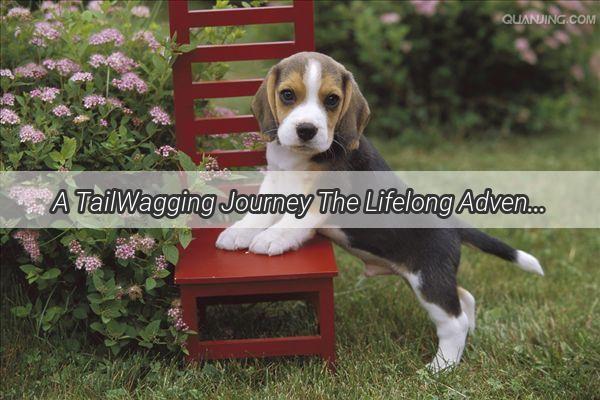 A TailWagging Journey The Lifelong Adventure of a Canine Companion